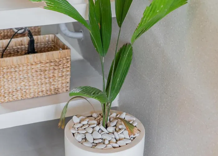 Sunset Bamboo - 3br In Kerobokan